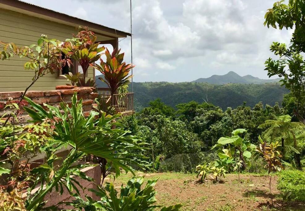 Cabin Mountain View Near Ponce Slepts 8 Buitenkant foto